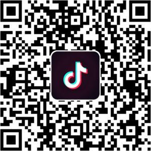 抖音小程序